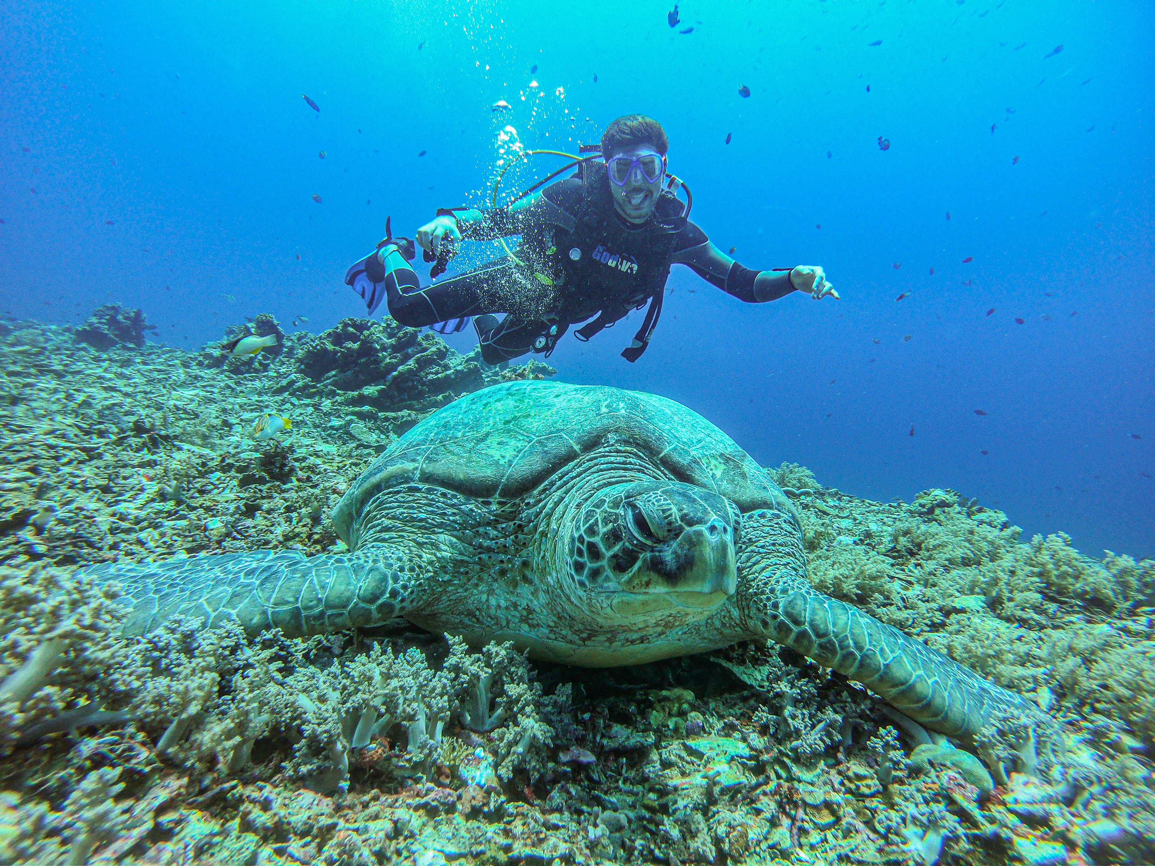 FUN Dive at Tramena